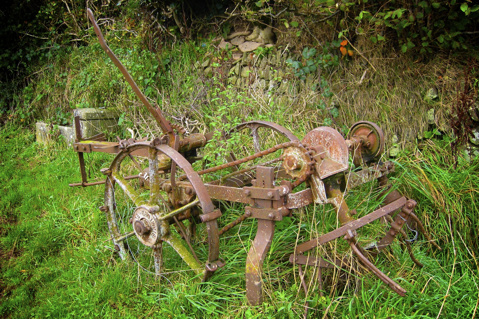 Rusted Farm Machinery